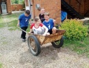 40
